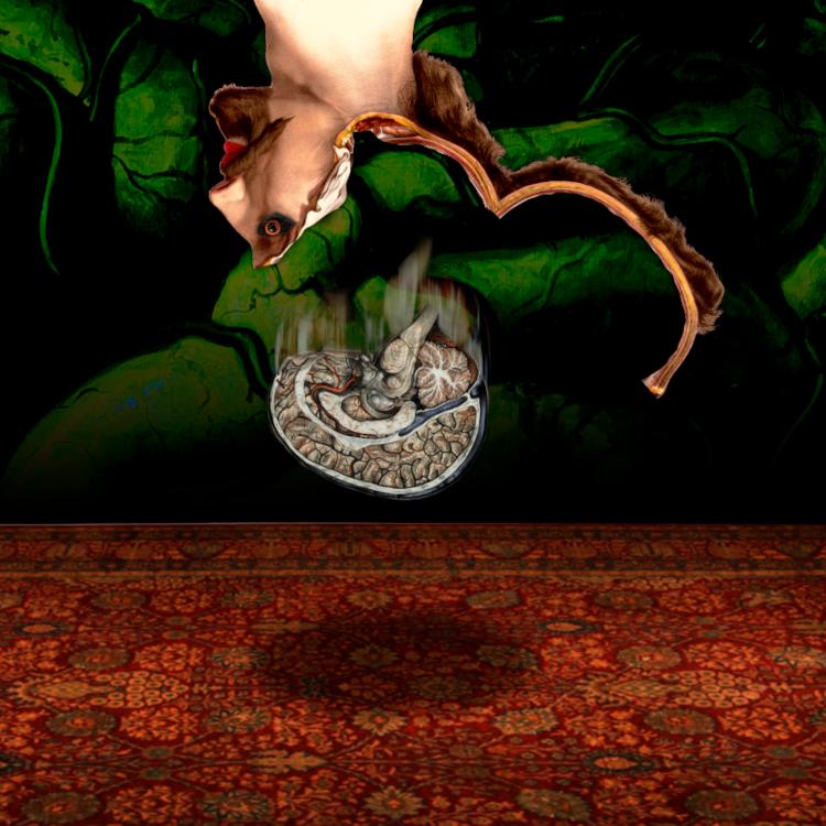 Post image 2